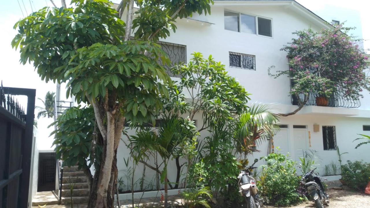 New Moringa Apartment Лас Теренас Екстериор снимка