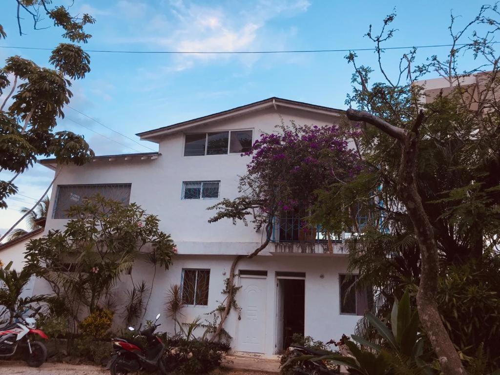 New Moringa Apartment Лас Теренас Екстериор снимка