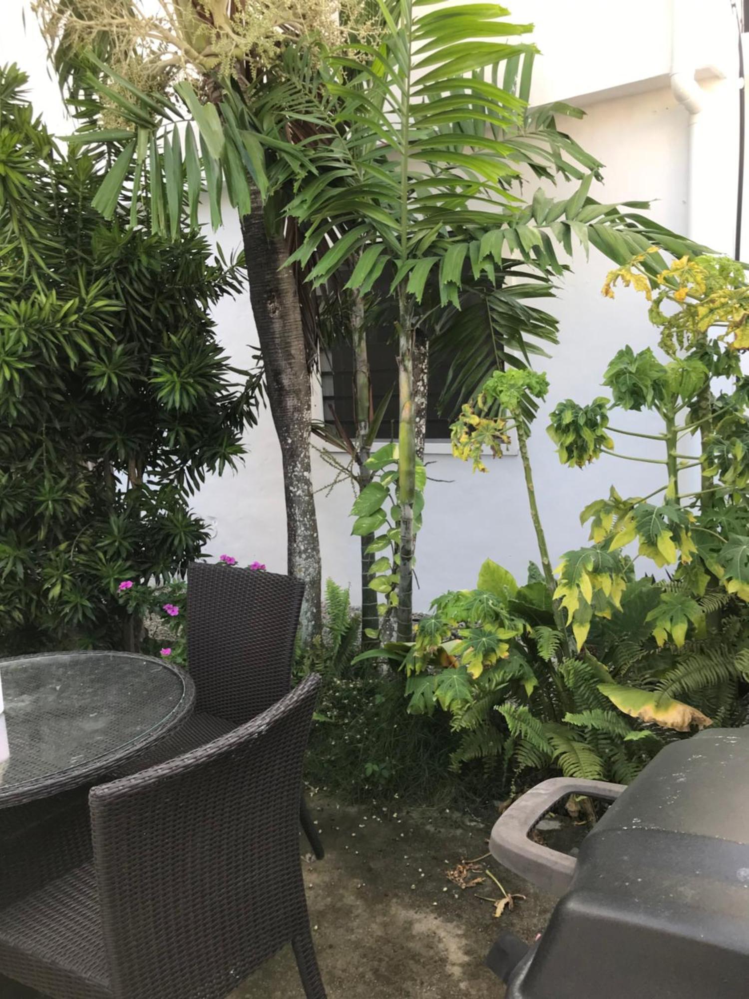 New Moringa Apartment Лас Теренас Екстериор снимка
